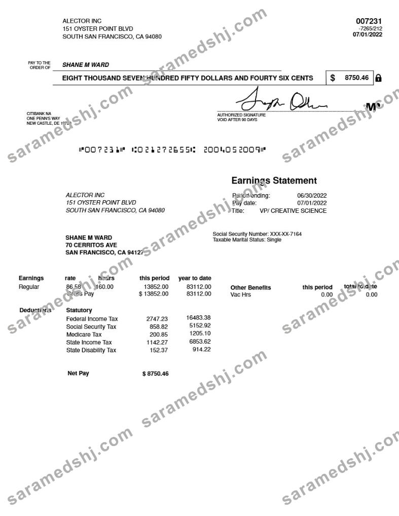 ALECTOR INC earnings statement template in Word and PDF formats.pdf, 1